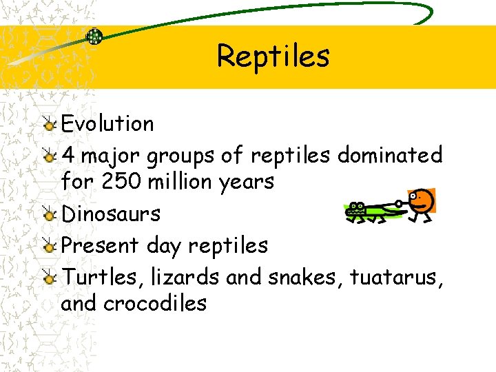 Reptiles Evolution 4 major groups of reptiles dominated for 250 million years Dinosaurs Present