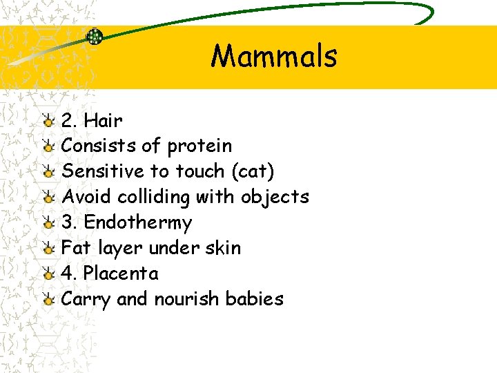 Mammals 2. Hair Consists of protein Sensitive to touch (cat) Avoid colliding with objects