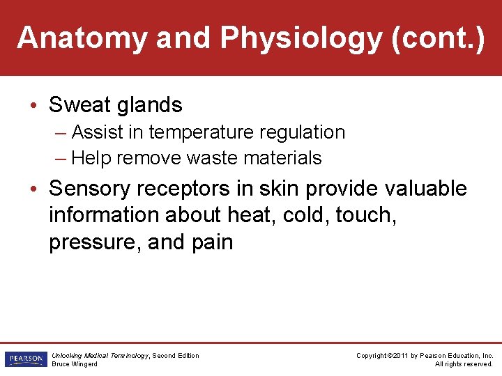 Anatomy and Physiology (cont. ) • Sweat glands – Assist in temperature regulation –