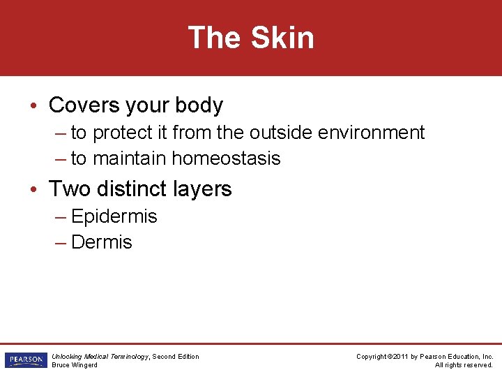 The Skin • Covers your body – to protect it from the outside environment