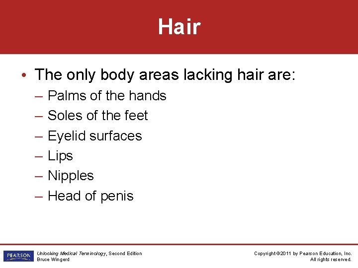 Hair • The only body areas lacking hair are: – – – Palms of