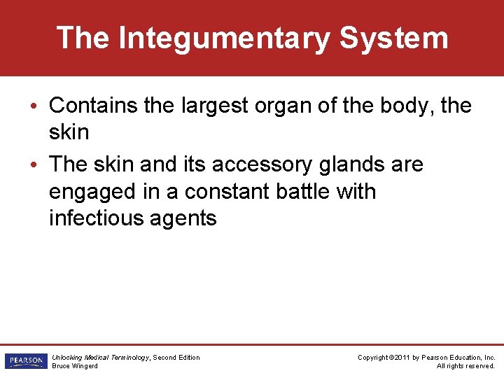 The Integumentary System • Contains the largest organ of the body, the skin •