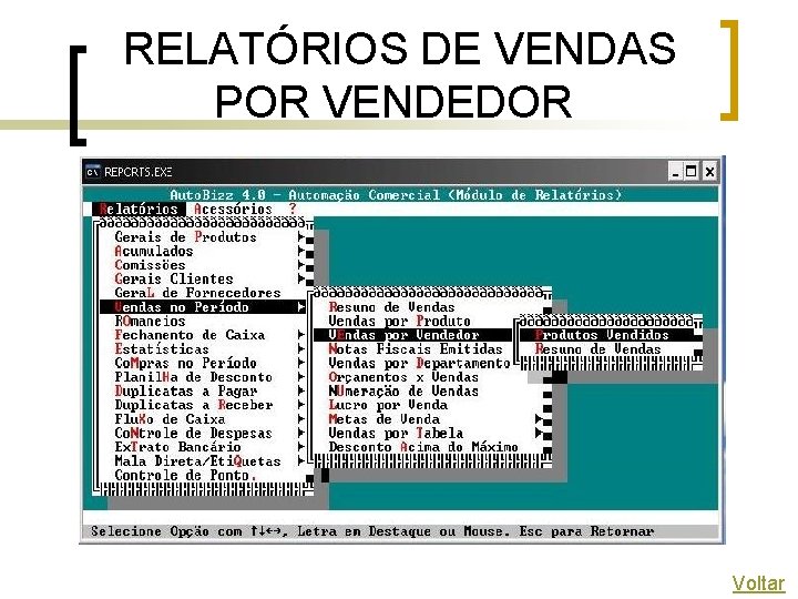 RELATÓRIOS DE VENDAS POR VENDEDOR Voltar 