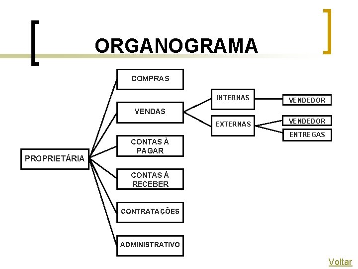 ORGANOGRAMA COMPRAS INTERNAS VENDEDOR EXTERNAS VENDEDOR VENDAS PROPRIETÁRIA CONTAS À PAGAR ENTREGAS CONTAS À