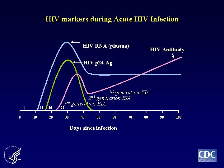 HIV markers during Acute HIV Infection HIV RNA (plasma) HIV Antibody HIV p 24