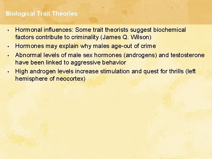 Biological Trait Theories • • Hormonal influences: Some trait theorists suggest biochemical factors contribute