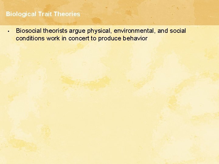 Biological Trait Theories • Biosocial theorists argue physical, environmental, and social conditions work in
