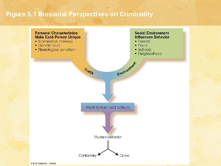 Figure 5. 1 Biosocial Perspectives on Criminality 