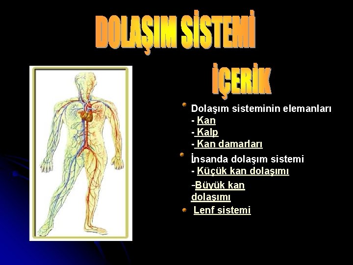 Dolaşım sisteminin elemanları - Kan - Kalp - Kan damarları İnsanda dolaşım sistemi -