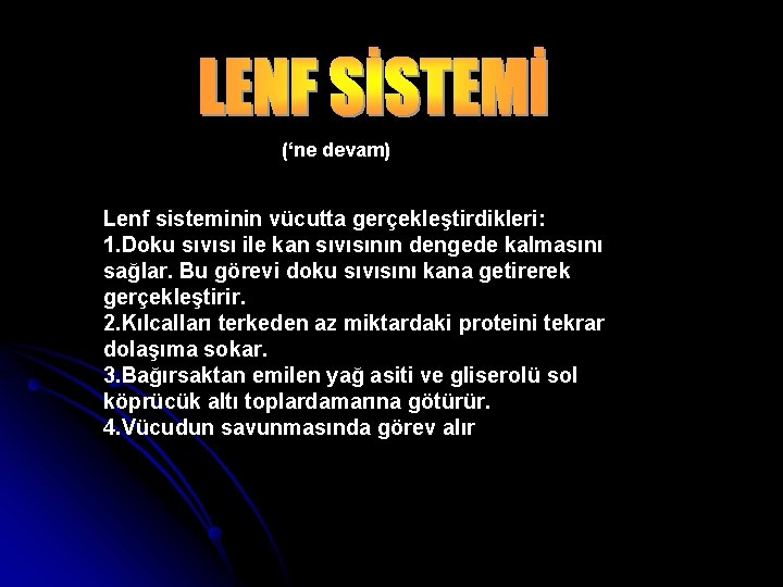 (‘ne devam) Lenf sisteminin vücutta gerçekleştirdikleri: 1. Doku sıvısı ile kan sıvısının dengede kalmasını