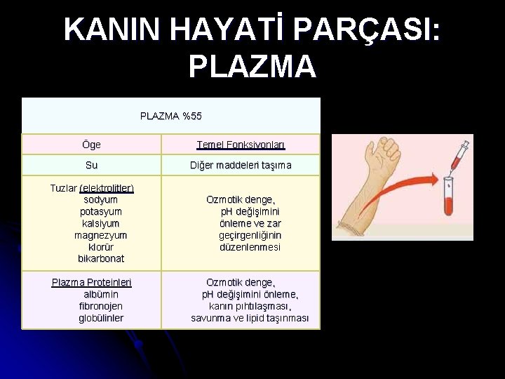 KANIN HAYATİ PARÇASI: PLAZMA %55 Öge Temel Fonksiyonları Su Diğer maddeleri taşıma Tuzlar (elektrolitler)