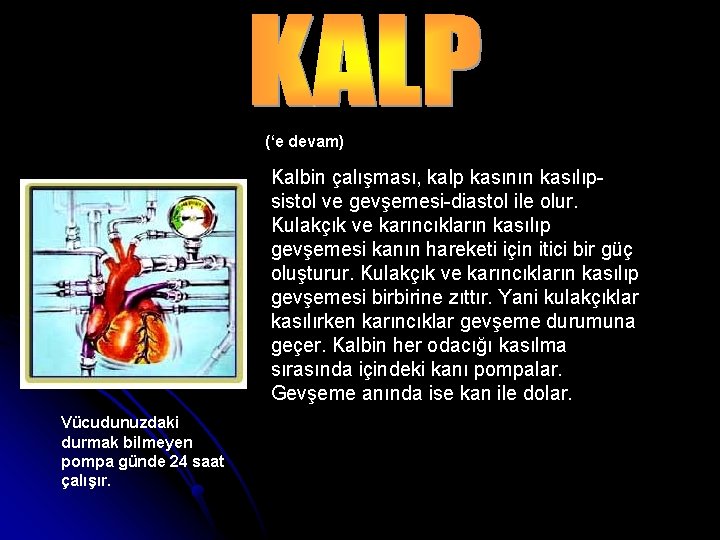 (‘e devam) Kalbin çalışması, kalp kasının kasılıpsistol ve gevşemesi-diastol ile olur. Kulakçık ve karıncıkların