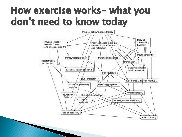 How exercise works- what you don’t need to know today 