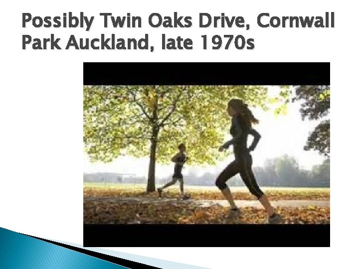 Possibly Twin Oaks Drive, Cornwall Park Auckland, late 1970 s 