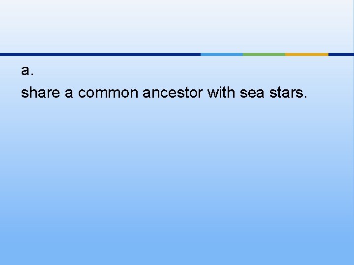 a. share a common ancestor with sea stars. 
