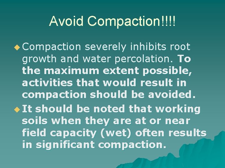 Avoid Compaction!!!! u Compaction severely inhibits root growth and water percolation. To the maximum