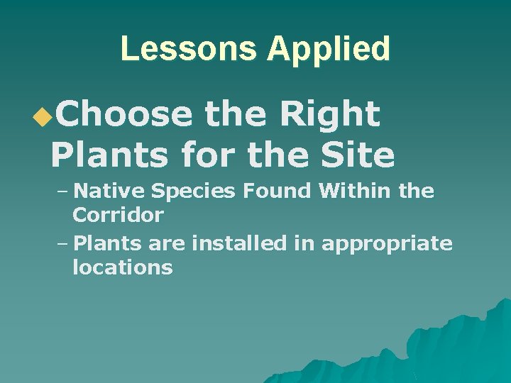 Lessons Applied u. Choose the Right Plants for the Site – Native Species Found