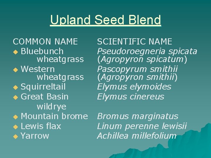 Upland Seed Blend COMMON NAME u Bluebunch wheatgrass u Western wheatgrass u Squirreltail u