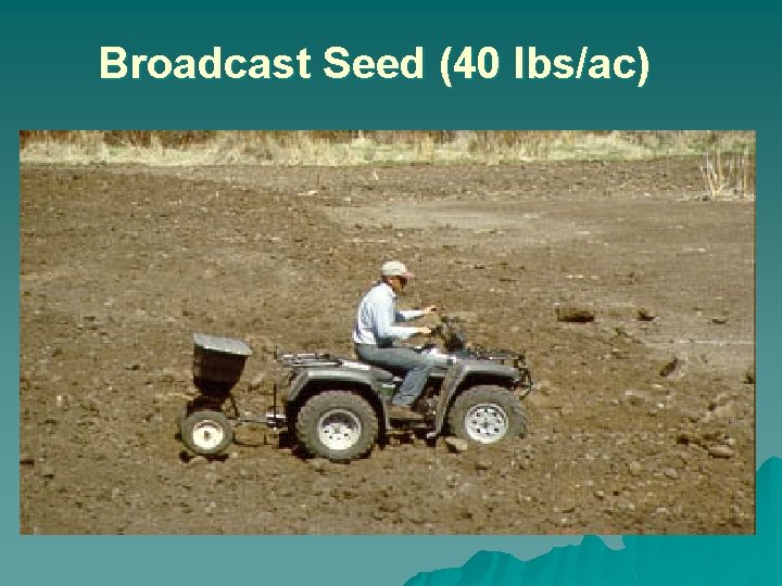 Broadcast Seed (40 lbs/ac) 