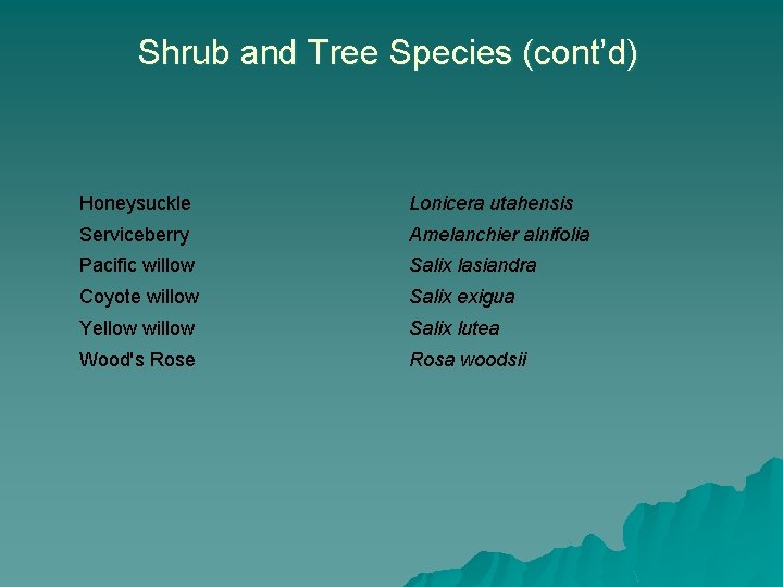 Shrub and Tree Species (cont’d) Honeysuckle Lonicera utahensis Serviceberry Amelanchier alnifolia Pacific willow Salix