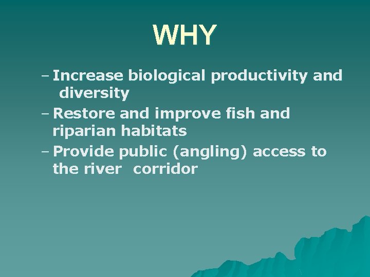 WHY – Increase biological productivity and diversity – Restore and improve fish and riparian