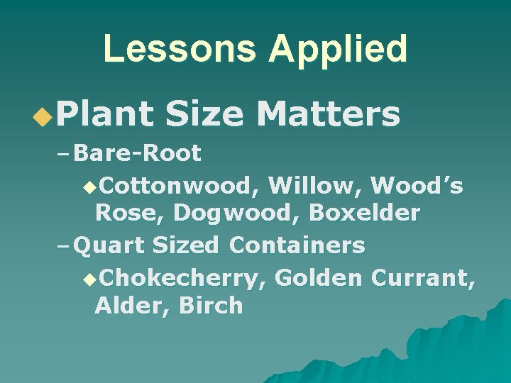 Lessons Applied u. Plant Size – Bare-Root Matters u. Cottonwood, Willow, Wood’s Rose, Dogwood,