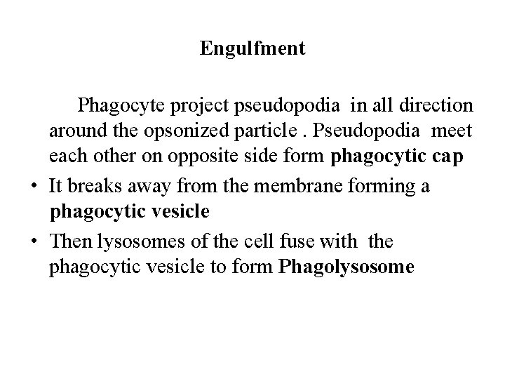 Engulfment Phagocyte project pseudopodia in all direction around the opsonized particle. Pseudopodia meet each