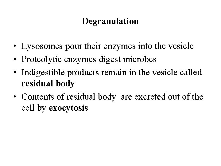 Degranulation • Lysosomes pour their enzymes into the vesicle • Proteolytic enzymes digest microbes