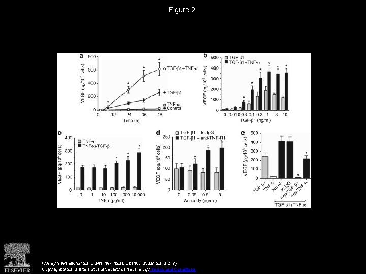 Figure 2 Kidney International 2013 841119 -1128 DOI: (10. 1038/ki. 2013. 217) Copyright ©