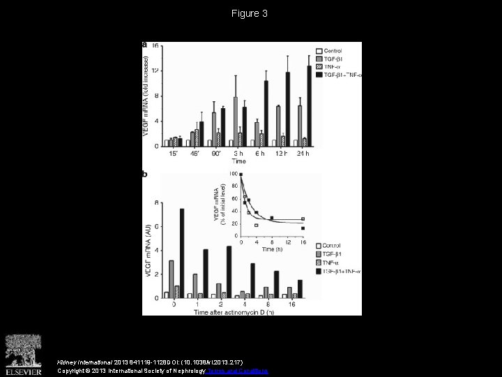 Figure 3 Kidney International 2013 841119 -1128 DOI: (10. 1038/ki. 2013. 217) Copyright ©