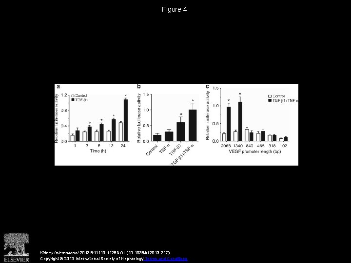 Figure 4 Kidney International 2013 841119 -1128 DOI: (10. 1038/ki. 2013. 217) Copyright ©