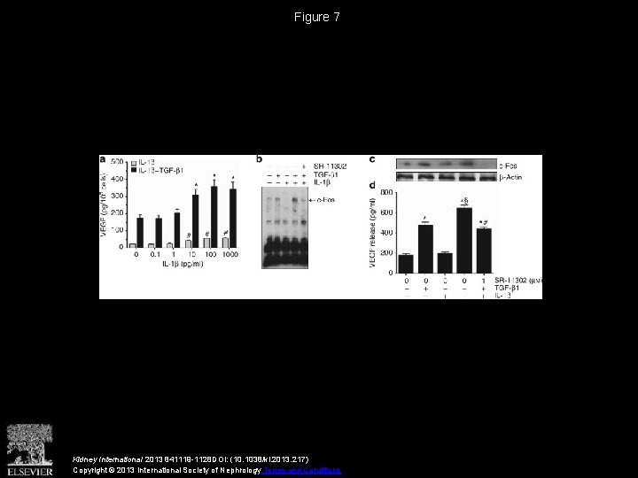 Figure 7 Kidney International 2013 841119 -1128 DOI: (10. 1038/ki. 2013. 217) Copyright ©