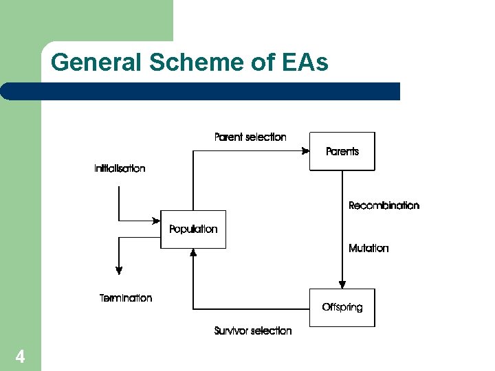 General Scheme of EAs 4 