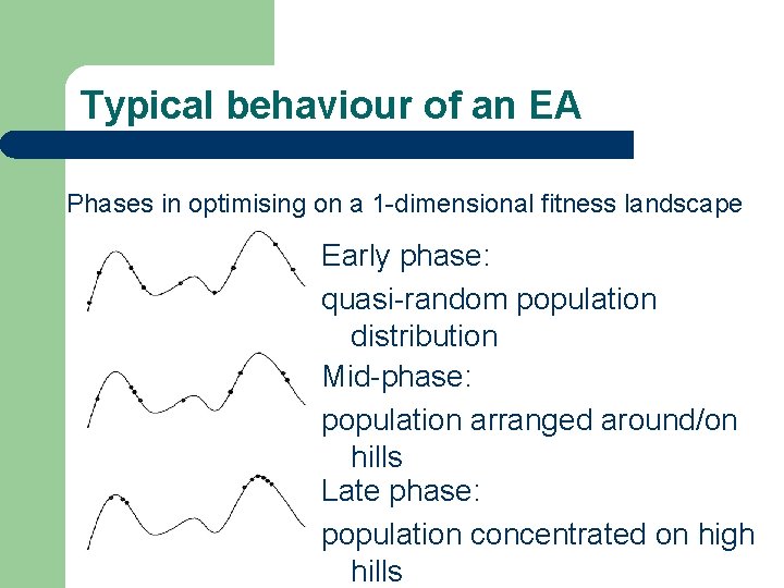 Typical behaviour of an EA Phases in optimising on a 1 -dimensional fitness landscape