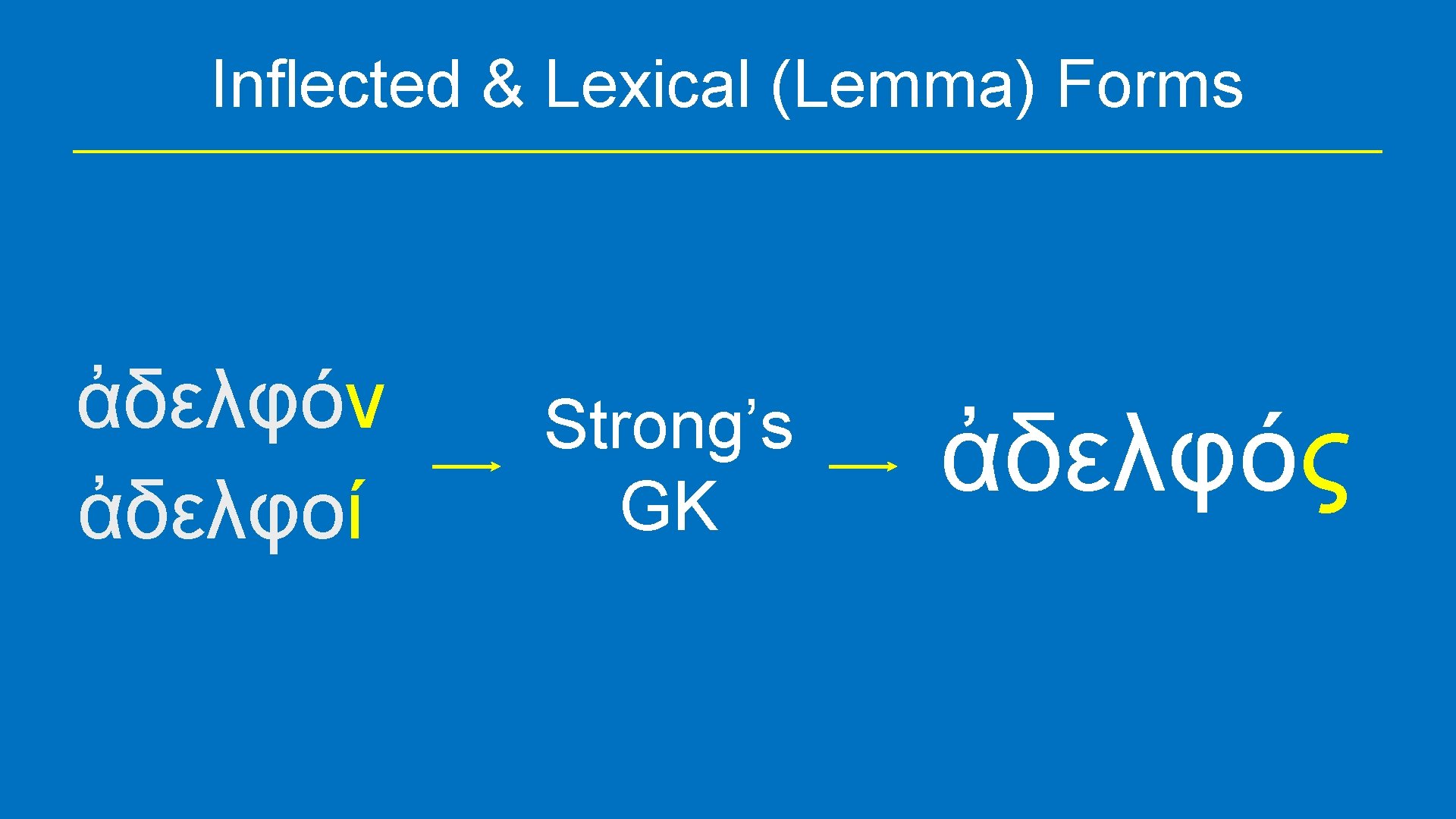 Inflected & Lexical (Lemma) Forms ἀδελφόν ἀδελφοί Strong’s GK ἀδελφός 