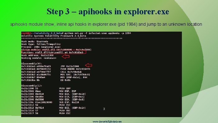 Step 3 – apihooks in explorer. exe apihooks module show, inline api hooks in