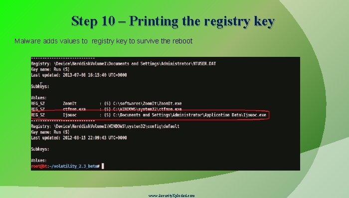 Step 10 – Printing the registry key Malware adds values to registry key to