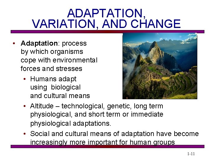 ADAPTATION, VARIATION, AND CHANGE • Adaptation: process by which organisms cope with environmental forces