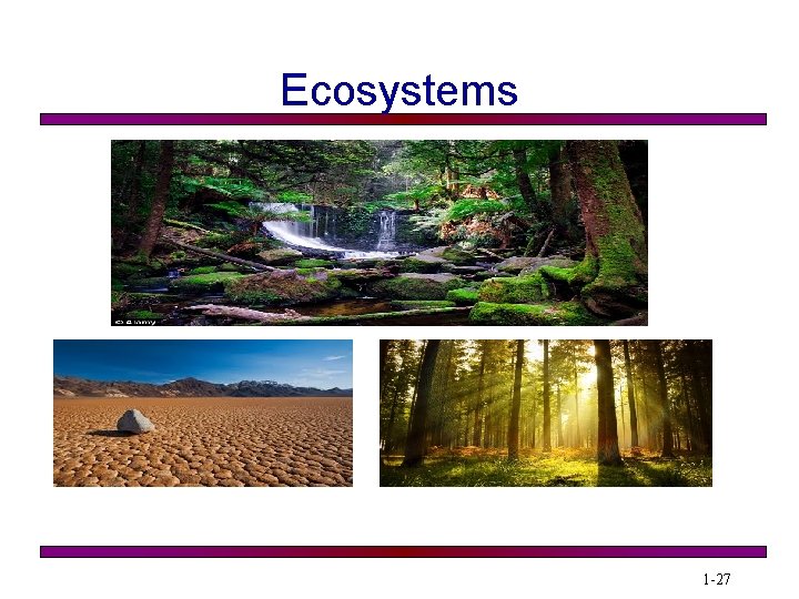 Ecosystems 1 -27 