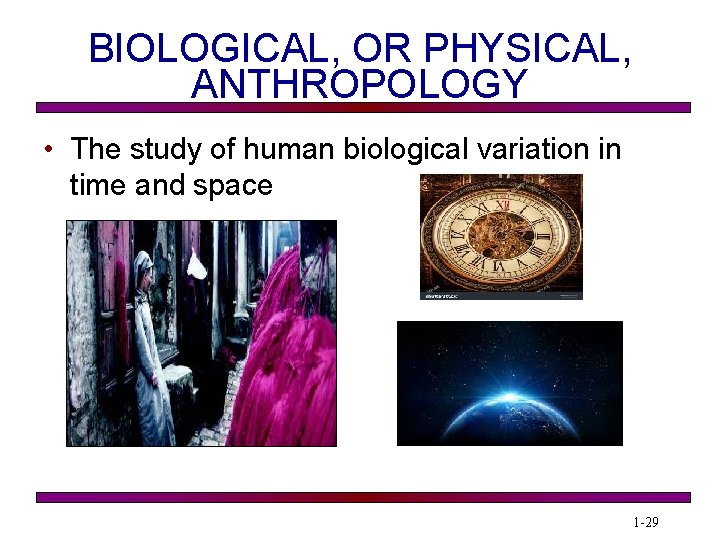 BIOLOGICAL, OR PHYSICAL, ANTHROPOLOGY • The study of human biological variation in time and