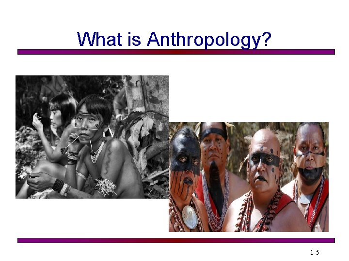 What is Anthropology? 1 -5 