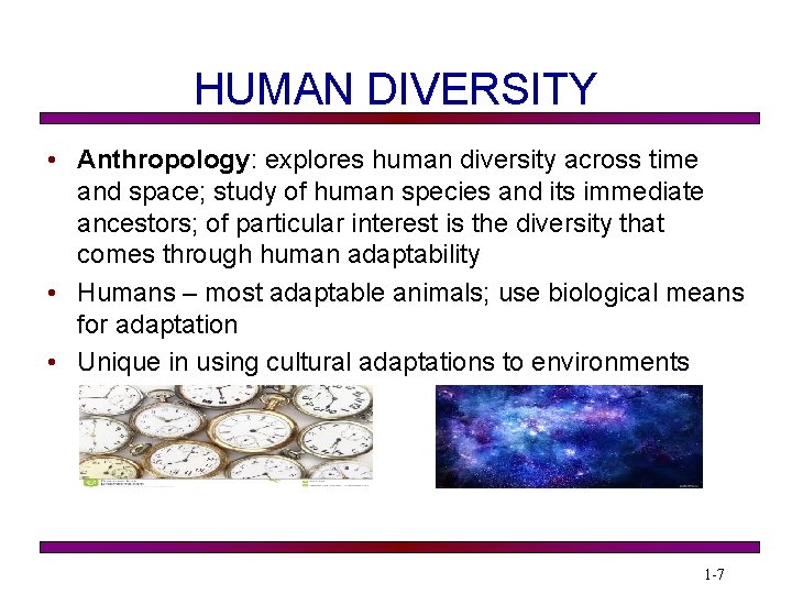 HUMAN DIVERSITY • Anthropology: explores human diversity across time and space; study of human
