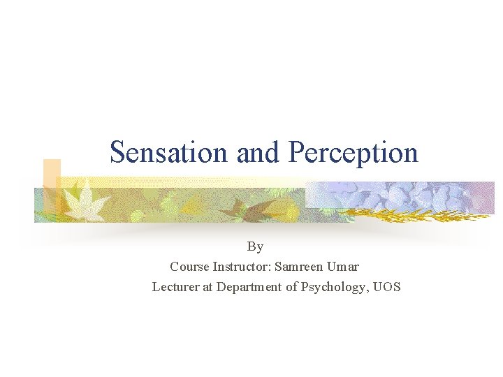 Sensation and Perception By Course Instructor: Samreen Umar Lecturer at Department of Psychology, UOS