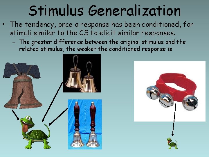 Stimulus Generalization • The tendency, once a response has been conditioned, for stimuli similar