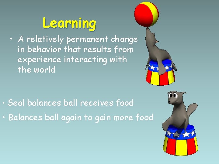 Learning • A relatively permanent change in behavior that results from experience interacting with