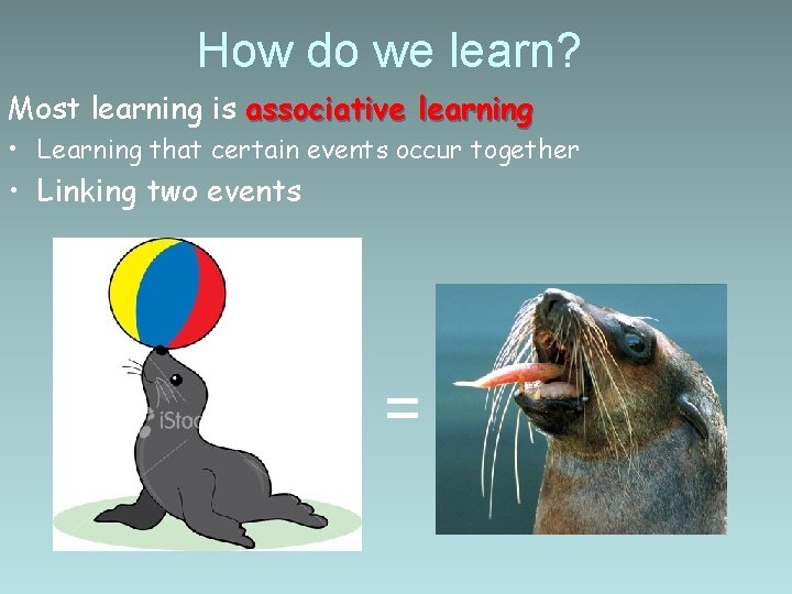 How do we learn? Most learning is associative learning • Learning that certain events