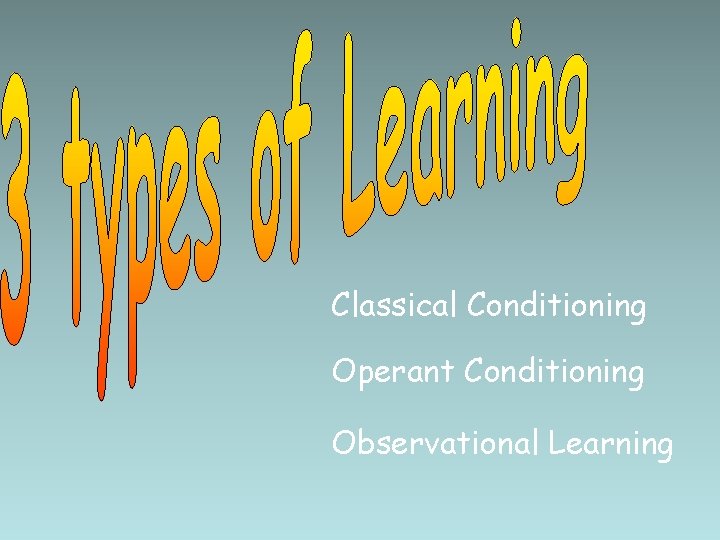 Classical Conditioning Operant Conditioning Observational Learning 