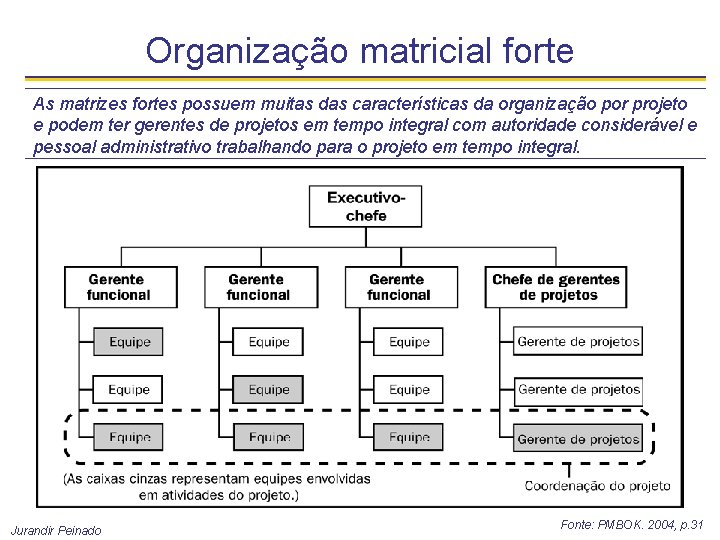 Organização matricial forte As matrizes fortes possuem muitas das características da organização por projeto