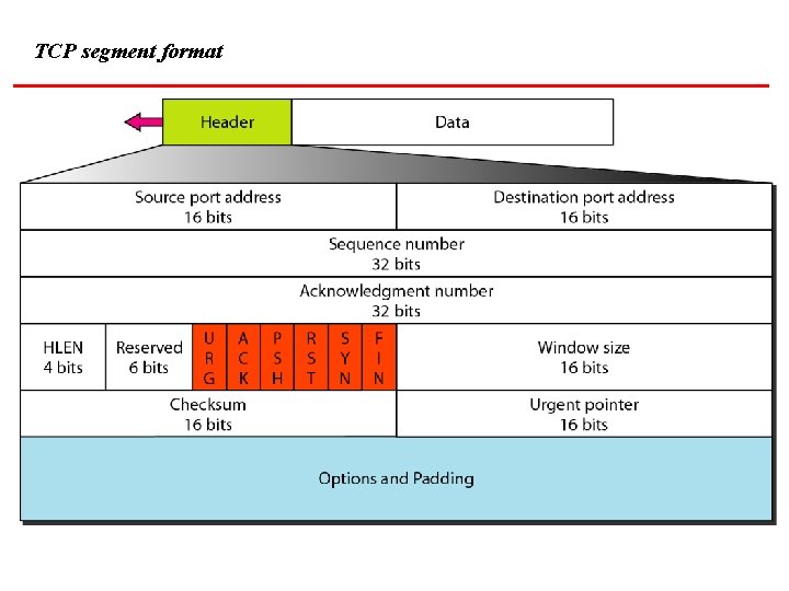 TCP segment format 