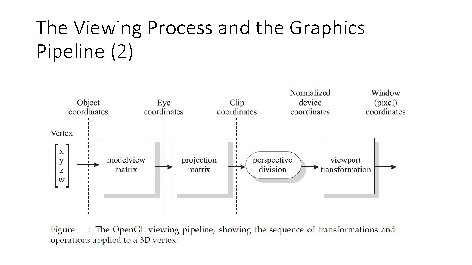 The Viewing Process and the Graphics Pipeline (2) 